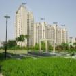 Residential Apartment On Lease In Bestech Park View Spa 3+1 BHK  Rent Sector 47 Gurgaon